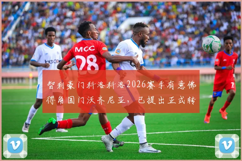 智利豪门科洛科洛2026赛季有意佛得角国门沃齐尼亚，已提出正式转会报价，引援进展深度解析